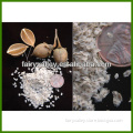 Paulownia fortunei/empress paulownia tree seeds for sale